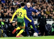 米兰体育官网app-诺里奇主场失利，降级形势愈加严峻