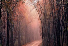 米兰体育培训-雷恩主场点燃激情，胜利之光照耀赛场