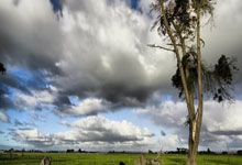 米兰体育入口-瓦伦西亚主场狂胜墨西拿，突破困局迎来关键三分！