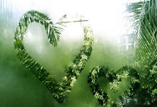 米兰体育网站入口-布赖顿和霍夫大比分胜利，继续追赶对手