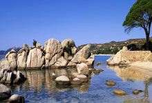 米兰体育培训-雷恩主场点燃激情，胜利之光照耀赛场