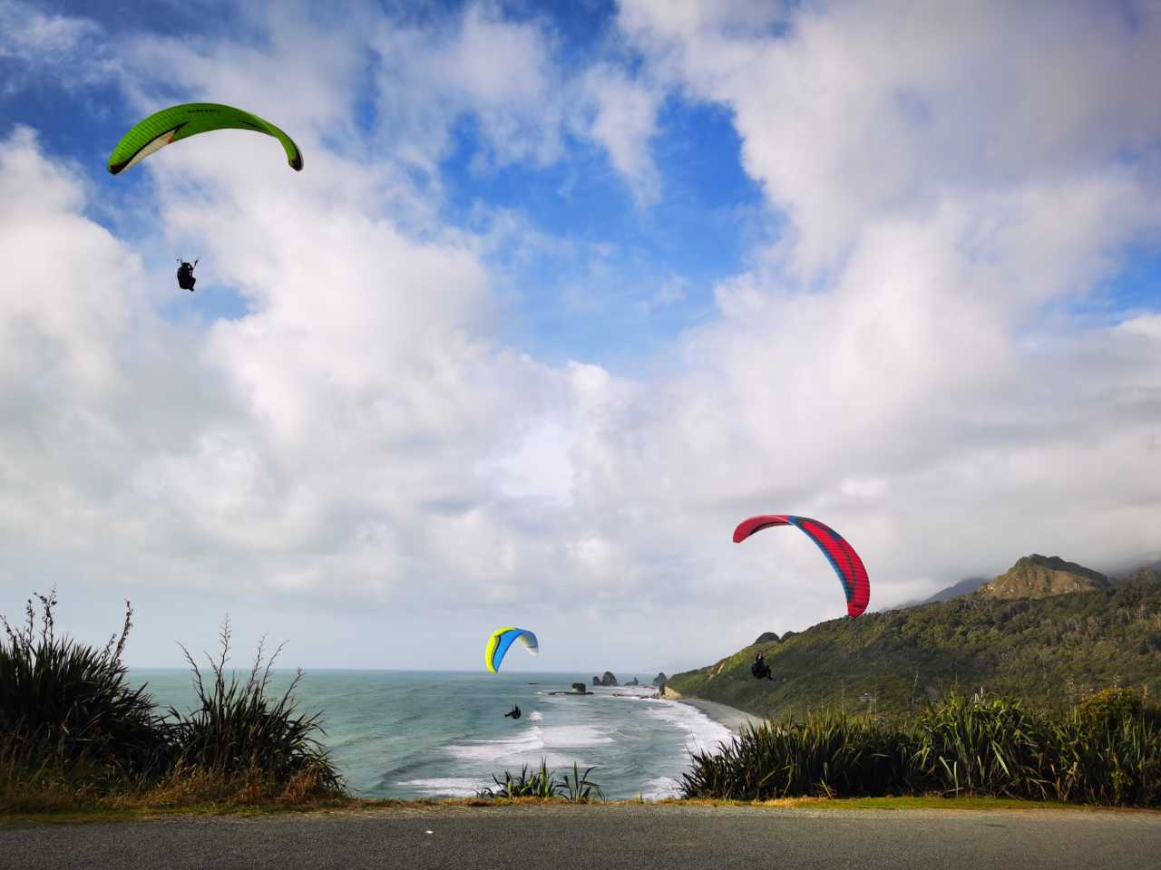 新西兰运动员在赛道上闪耀出色