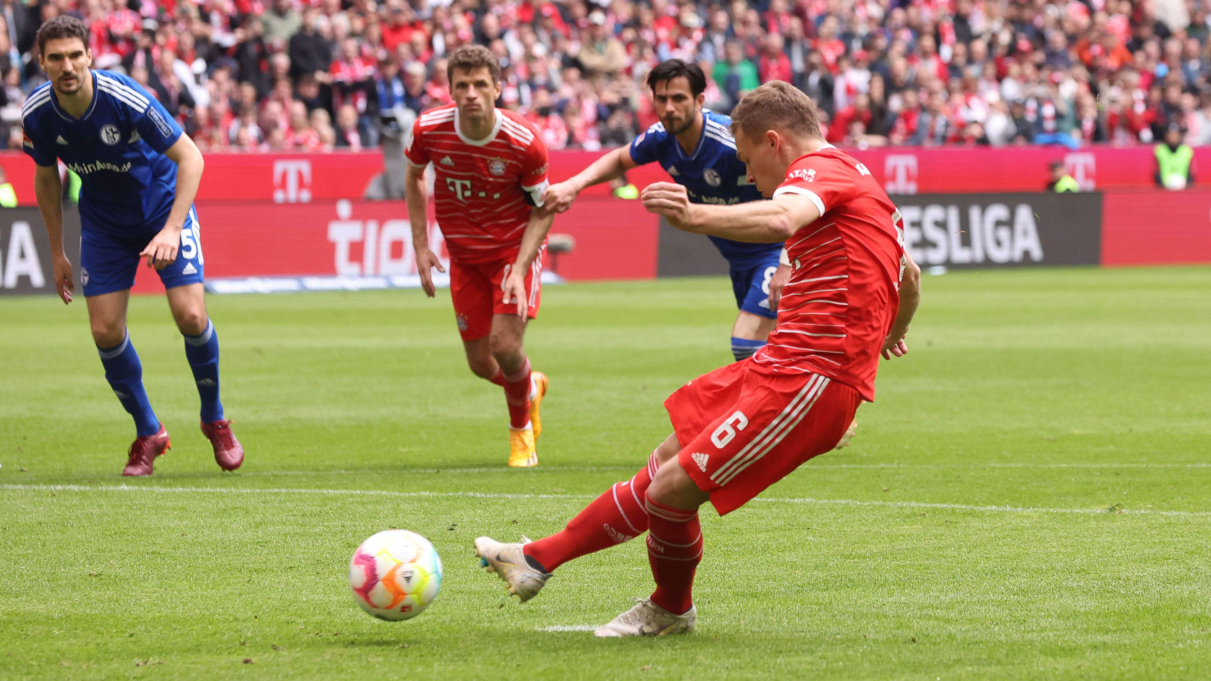 沙尔克04主场大战全力以赴的简单介绍 沙尔克04主场大战全力以赴的简单介绍